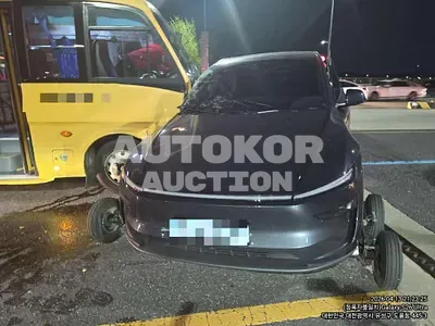 2025, Tesla / Model Y, electric