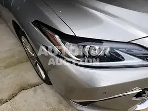 2019, Lexus / ES 300, unknown