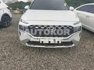 2020, Hyundai / Santa FE, VIN: KMHS381BBLU223133, diesel