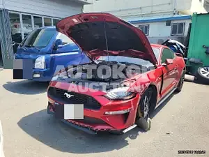 2020, Ford / Mustang, VIN: 1FA6P8TH4L5132570, 48000 км., gas