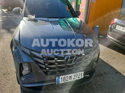 2021, Hyundai / Tucson, VIN: KMHJC81CBMU035325, 138957 км., diesel, 2000 куб.см.