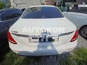 2019, Mercedes-Benz / E 300, VIN: WDDZF4JB5KA610444, gas