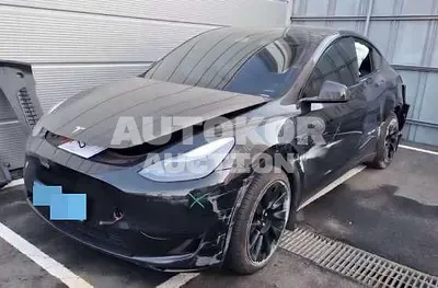 2024, Tesla / Model Y, electric