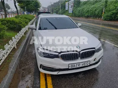 2019, BMW / 520, VIN: WBAJK7107KGL29288, gas
