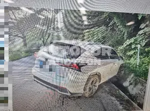 2018, Lexus / NX 300, hybrid, 2494 куб.см.