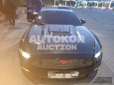 2016, Ford / Mustang GT, 191516 км., gas, 5000 куб.см.