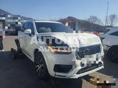 2020, Volvo / XC90, gas