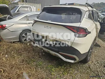 2024, Kia / Sportage, hybrid, 1600 куб.см.