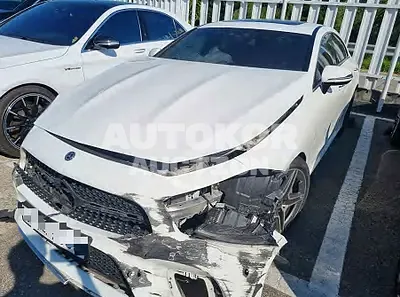 2020, Mercedes-Benz / CLS 300, VIN: W1K2J1JB5LA070805, 53332 км., diesel