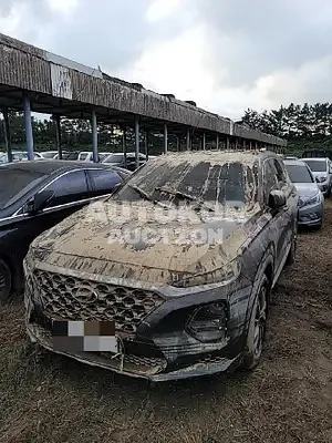 2019, Hyundai / Santa FE, VIN: KMHS281BBKU181827, 50000 км., diesel, 2000 куб.см.