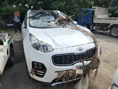 2016, Kia / Sportage, VIN: KNAPN813BGK149827, 64620 км., diesel, 2000 куб.см.