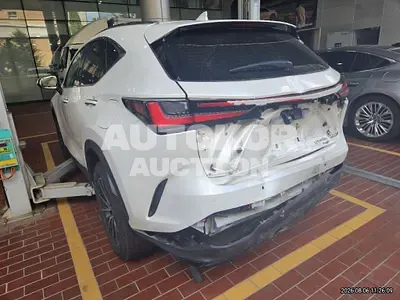 2023, Lexus / nx450h+, hybrid