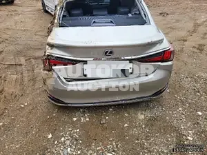 2019, Lexus / ES 300, VIN: JTHB21B15K2025514, 80000 км., hybrid