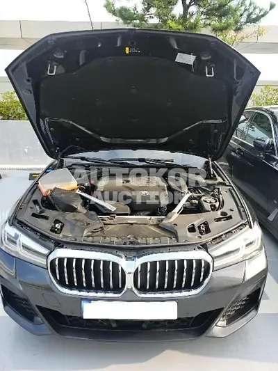 2022, BMW / 520, VIN: WBA11BH0XNWX84951, gas