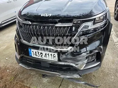 2023, Kia / Carnival, VIN: KNANE81BBPS228727, 146961 км., diesel, 2200 куб.см.
