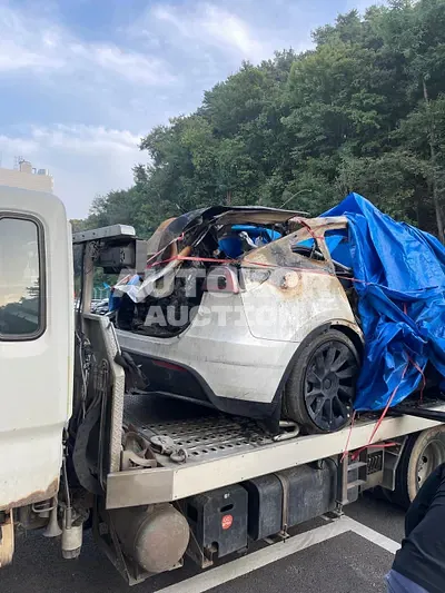 2022, Tesla / Model Y, VIN: 7SAYGDEE0NF503212, electric