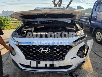2019, Hyundai / Santa FE, 49572 км., gas, 1998 куб.см.