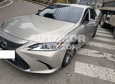 2019, Lexus / ES 300, VIN: JTHB21B18K2054943, hybrid