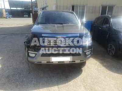 2018, Kia / Mohave, VIN: KNAKN814DJA184212, diesel
