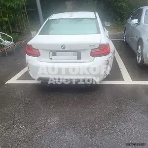 2017, BMW / M2, VIN: WBS1H9100H7A18951, 75201 км., gas