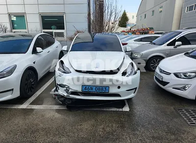 2022, Tesla / Model Y, VIN: 7SAYGDEE7NF415502, electric