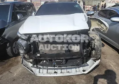 2019, Hyundai / Santa FE, VIN: KMHS581BDKU060270, 114232 км., diesel, 2000 куб.см.