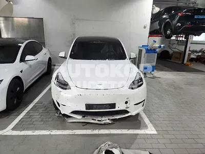 2022, Tesla / Model Y, VIN: 7SAYGDEE1NF498568, electric