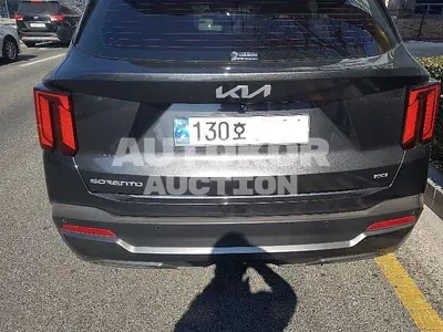 2024, Kia / Sorento, VIN: KNARH81FHRA295219, gas