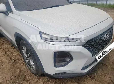 2019, Hyundai / Santa FE, VIN: KMHS281ADKU077314, gas