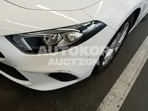 2020, Mercedes-Benz / A 220, VIN: W1K3G4EB8LJ238676, unknown
