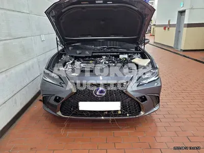 2022, Lexus / ES 300, VIN: JTHBA1C17N2011832, 1531 км., hybrid