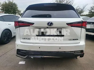 2019, Lexus / NX 300, hybrid