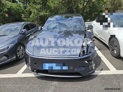 2025, Tesla / Model Y, electric