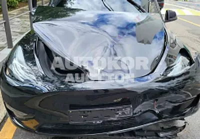 2022, Tesla / Model Y, VIN: 7SAYGDEE6NF416334, electric
