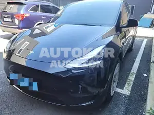 2021, Tesla / Model Y, 22000 км., electric, 236 куб.см.