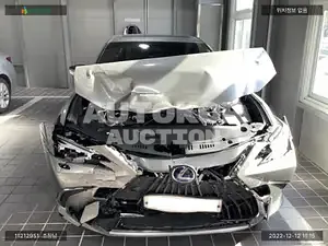 2021, Lexus / ES 300, VIN: JTHBA1C11N2009025, hybrid