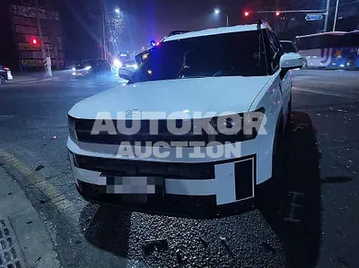 2023, Hyundai / Santa FE, hybrid, 1598 куб.см.