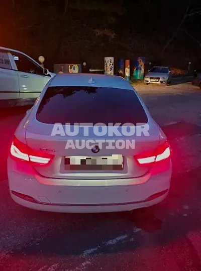 2018, BMW / 420, VIN: WBA4H310XJBH10054, 59377 км., gas