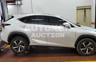 2020, Lexus / NX 300, VIN: JTJDJRDZ7L5000156, 23378 км., gas