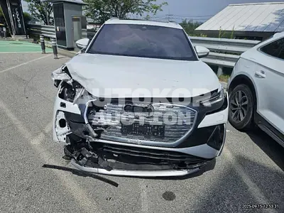 2023, Audi / e-tron, 17482 км., electric