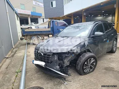 2021, Hyundai / Tucson, VIN: KMHJC81BGMU006059, gas