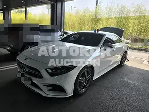 2020, Mercedes-Benz / CLS 300, VIN: WDD2J1JBXLA053692, 31449 км., diesel