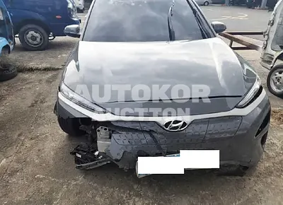 2019, Hyundai / Kona, VIN: KMHK381GFKU013222, electric