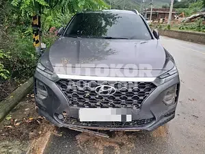 2020, Hyundai / Santa FE, VIN: KMHS281ABLU287541, 70000 км., gas