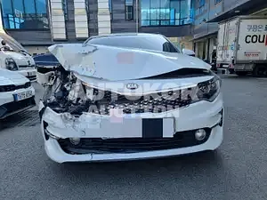 2017, Kia / K5, VIN: KNAGS416BJA206606, lpg