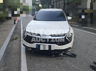 2024, Kia / Sportage, hybrid, 1598 куб.см.