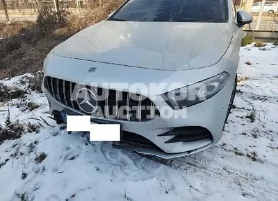 2020, Mercedes-Benz / A 220, VIN: W1K3G4EB0LJ237991, 42834 км., gas