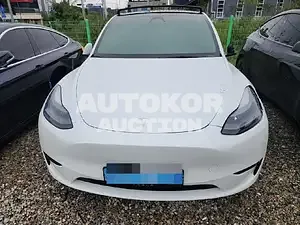 2023, Tesla / Model Y, VIN: LRWYGCFS5RC158738, 16814 км., electric, 173 куб.см.