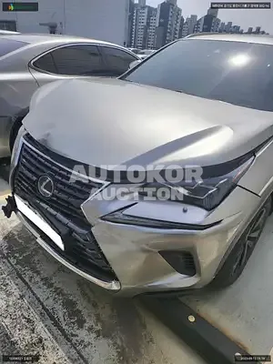 2019, Lexus / NX 300, VIN: JTJBJRBZ5K2120967, 143514 км., hybrid