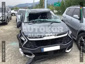 2021, Kia / Sportage, VIN: KNAPW81CDNK015321, diesel